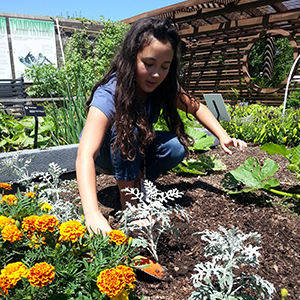 Girl gardening